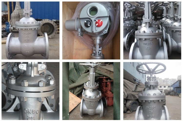 DIN 3325 Stainless Steel Rising Stem Gate Valve