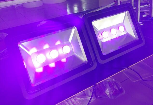 Purple LED UV Curing Light Blacklight Flood Light 150W 200W 250W