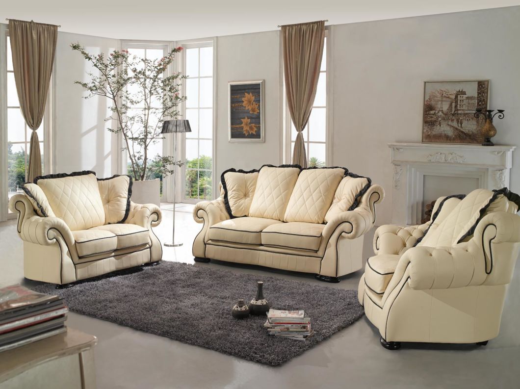 Contemporary Modern Leather Sofa (Lz1788)