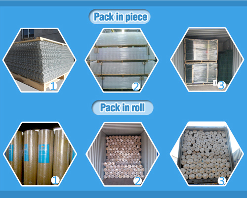 Carbon Steel Galvanized Welded Wire Mesh Sales