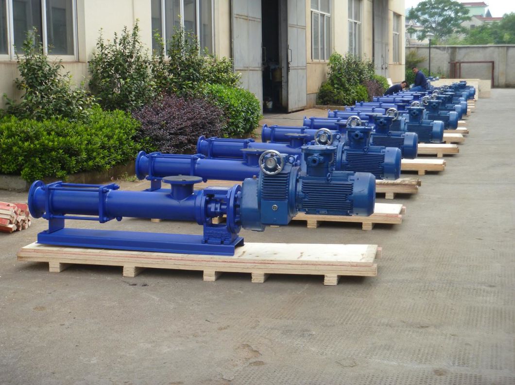 Xinglong Cavity Progressive Single Screw Pumps