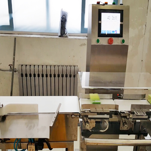 Online Weighing and Automatic Rejecting Machine