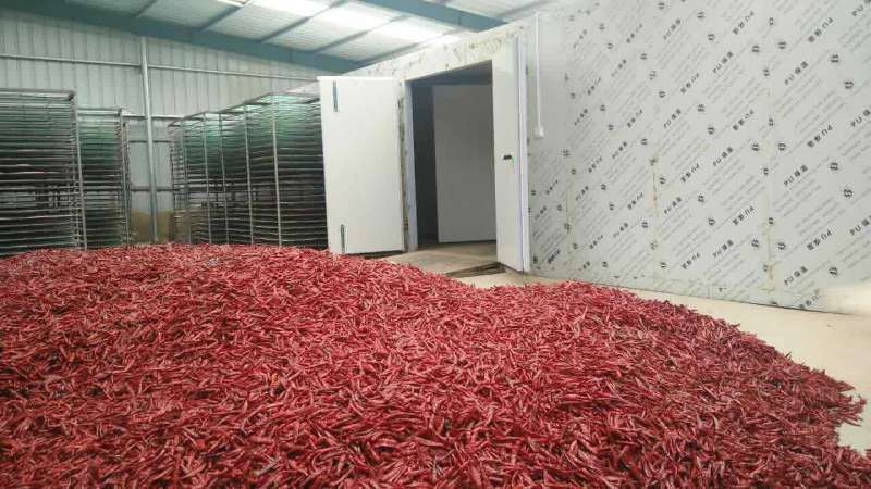 300 Kg Per Batch Fruits and Vegetable Drying Equipment, Dryer Cabinet