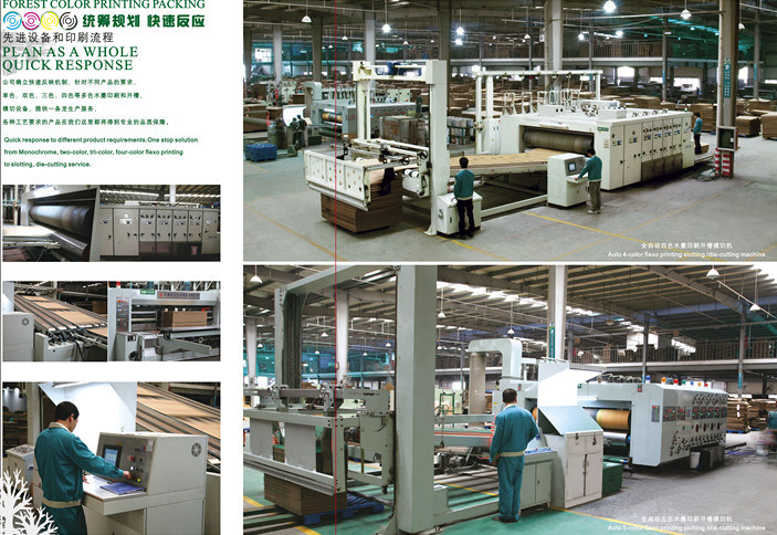 Inside Color Offset Printing Corrugated Paper Box