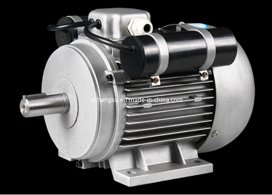 Yc Yl Series Single Phase Induction Electric Motor (frame size from 71 to 132) (YC112M-4, 2.2kw/3HP, B3)