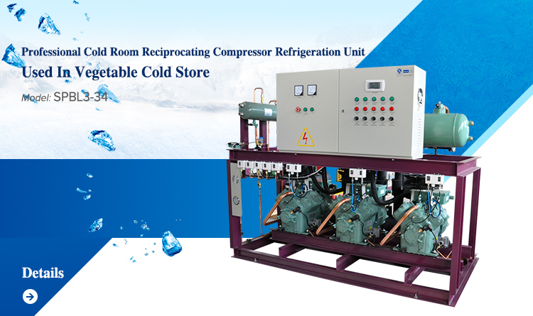 Bitzer Piston Compressor Unit for Cold Room