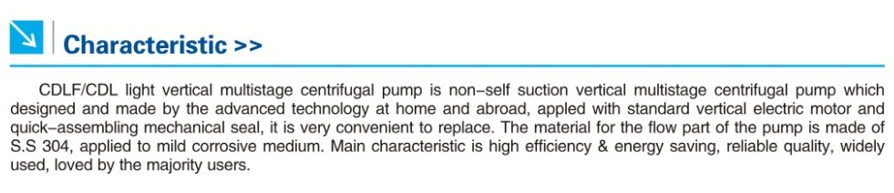 S. S. Light Vertical Multistage Centrifugal Pump (CDLF / CDL)