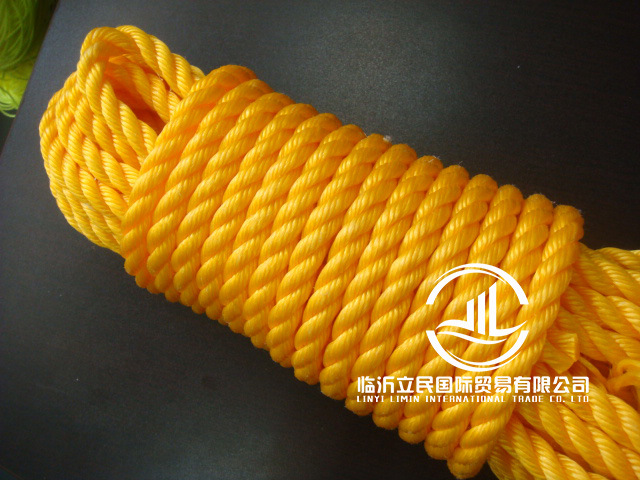 Middle East Africa Eight Strand Twisted PE Mooring Rope