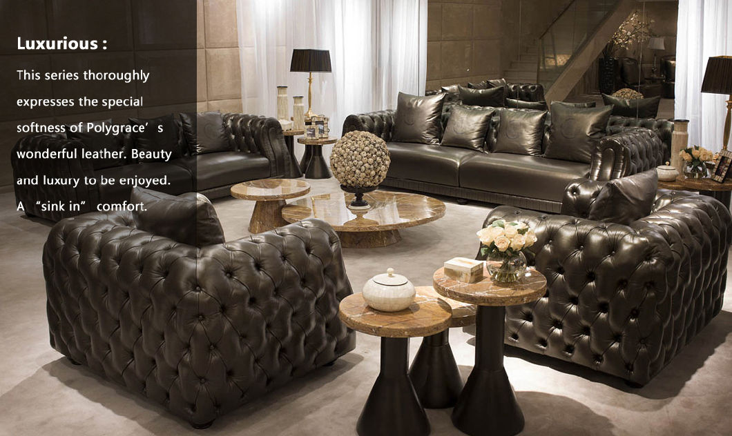 Living Room Furniture Leather Sofa (B8)