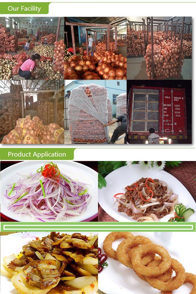 Chinese Fresh Yellow Onion in Meshbag