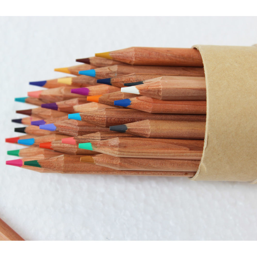 High Quality 24 Colored Pencils in Paper Tube