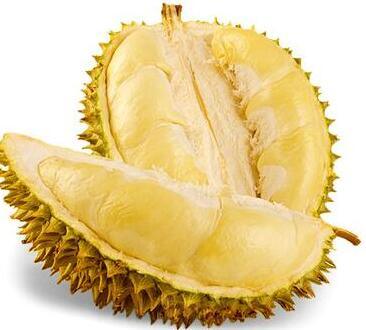 Factory Supply Best Price Good Taste High Quality Dried Durian Powder Water Soluble