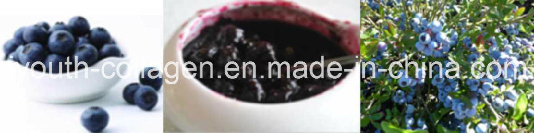 EU Quality Organic Blueberry Pulp/ Fruit Juice, Rich Anthocyanin, SOD, Anticancer, Anti-Aging, Antibacterial, Prevention of Gastric Cancer and Dementia, Food