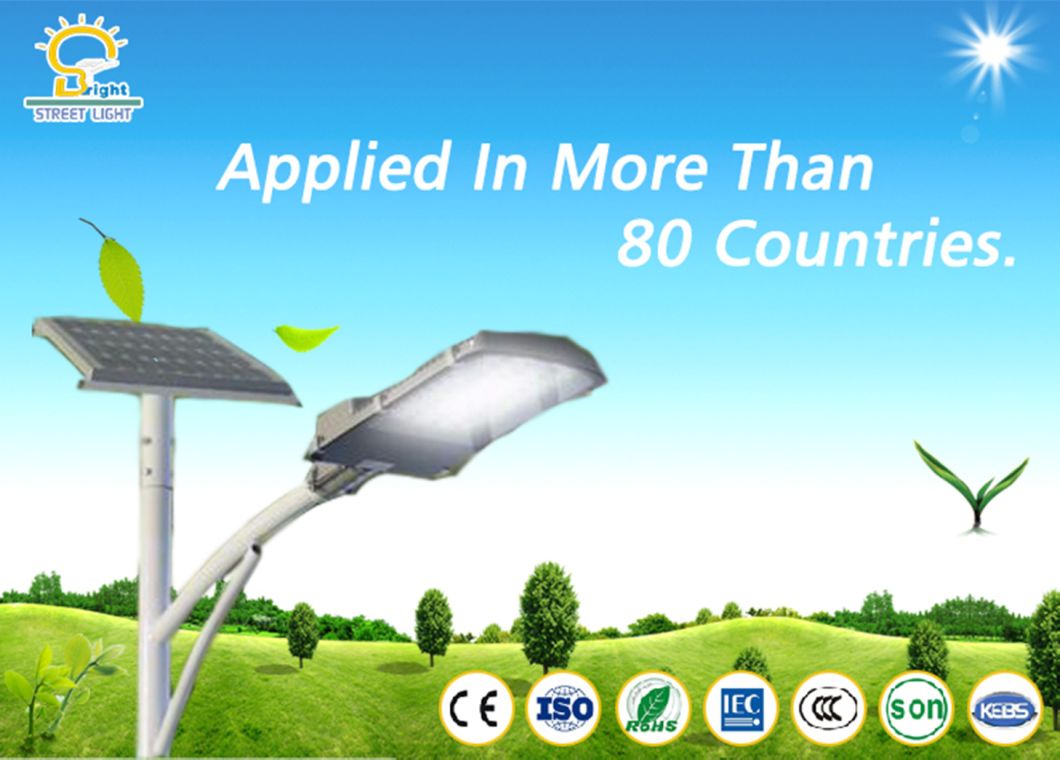 Hot Sell 30W-120W LED Street Lighting with Solar Panel