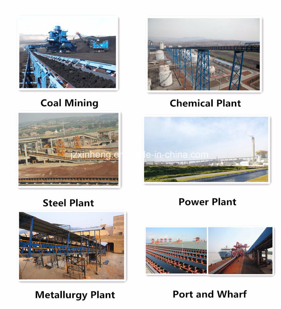 Belt Conveyor in Heavy Duty Industry for Mining, Coal, Power