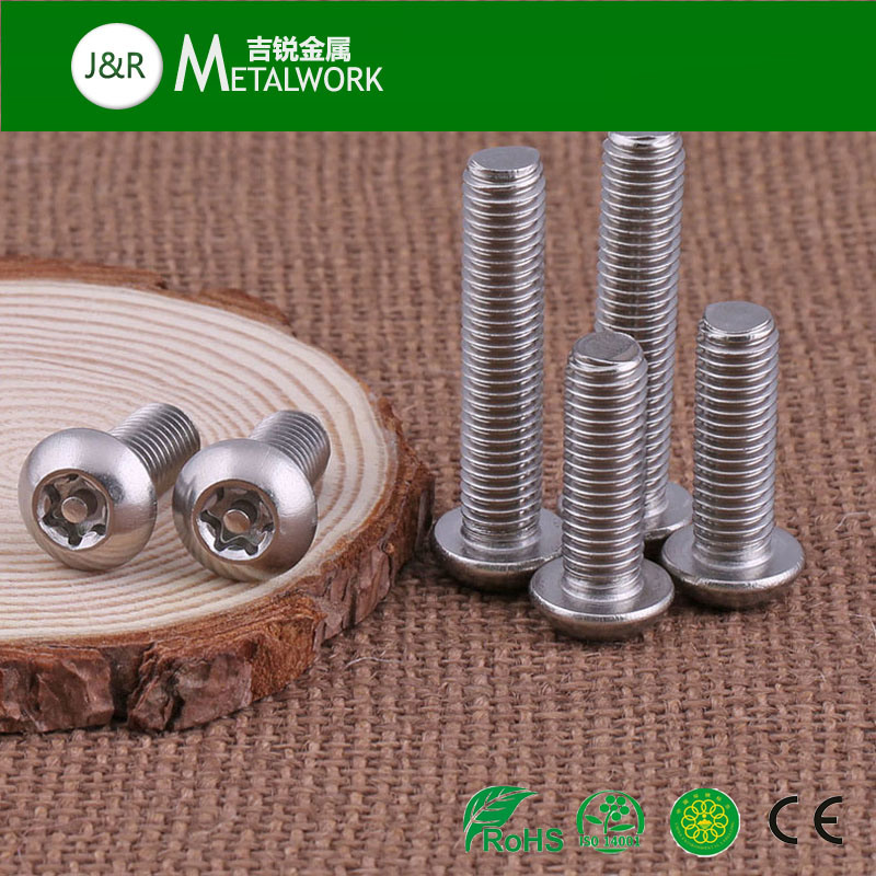 Ss304 Ss316 Stainless Steel Torx Socket Button Head / Countersunk Head / Pan Head Security Screw with Center Pin