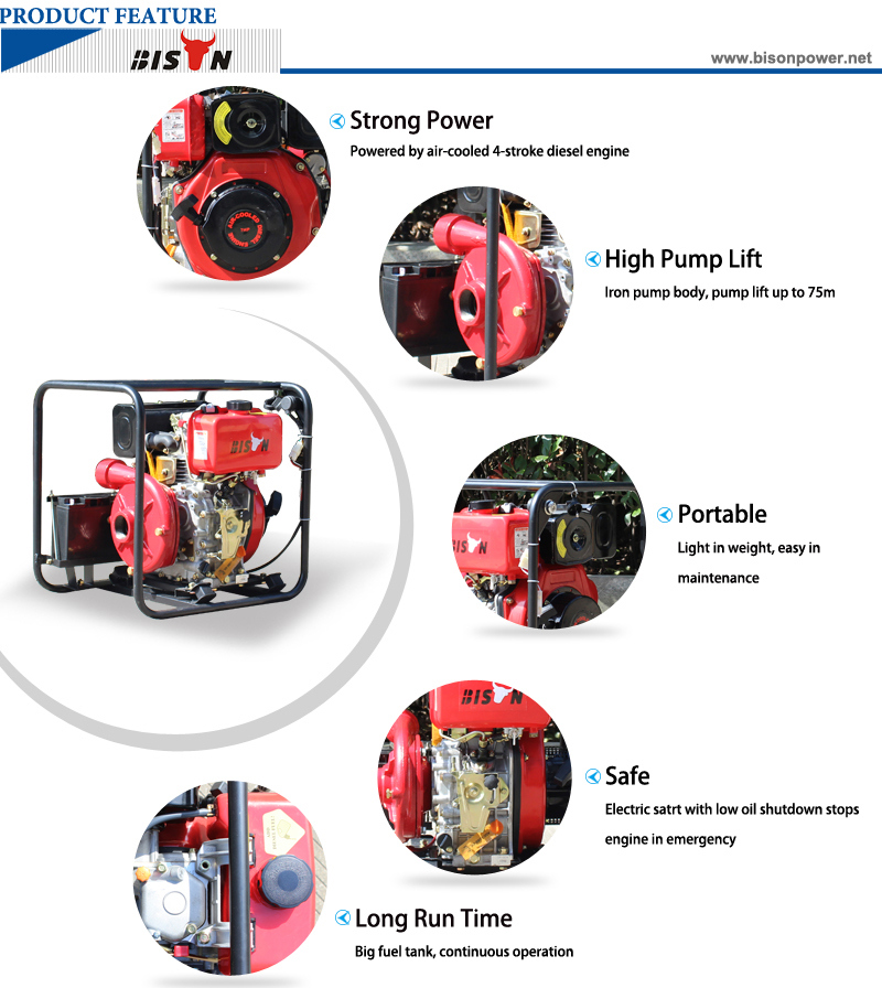 Bison (China) Bsdwp20I High Pump Lift Big Displacement High Pressure 7HP Water Pump Specifications