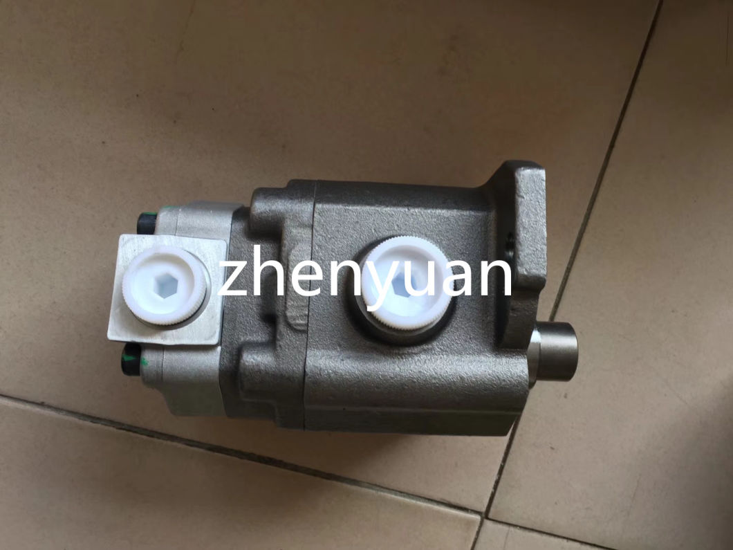 Ap2d25 Gear Pump with Best Price