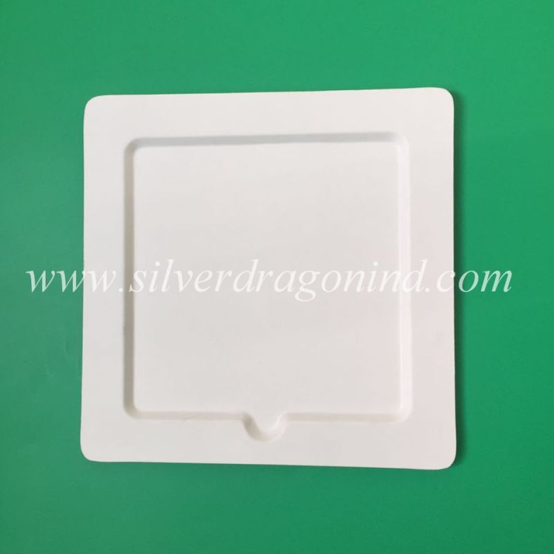Disposable Compostable Square Paper Plate