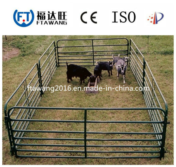 New Style Galvanized Cattle Fence/Farm Fence/Grassland Field Fence