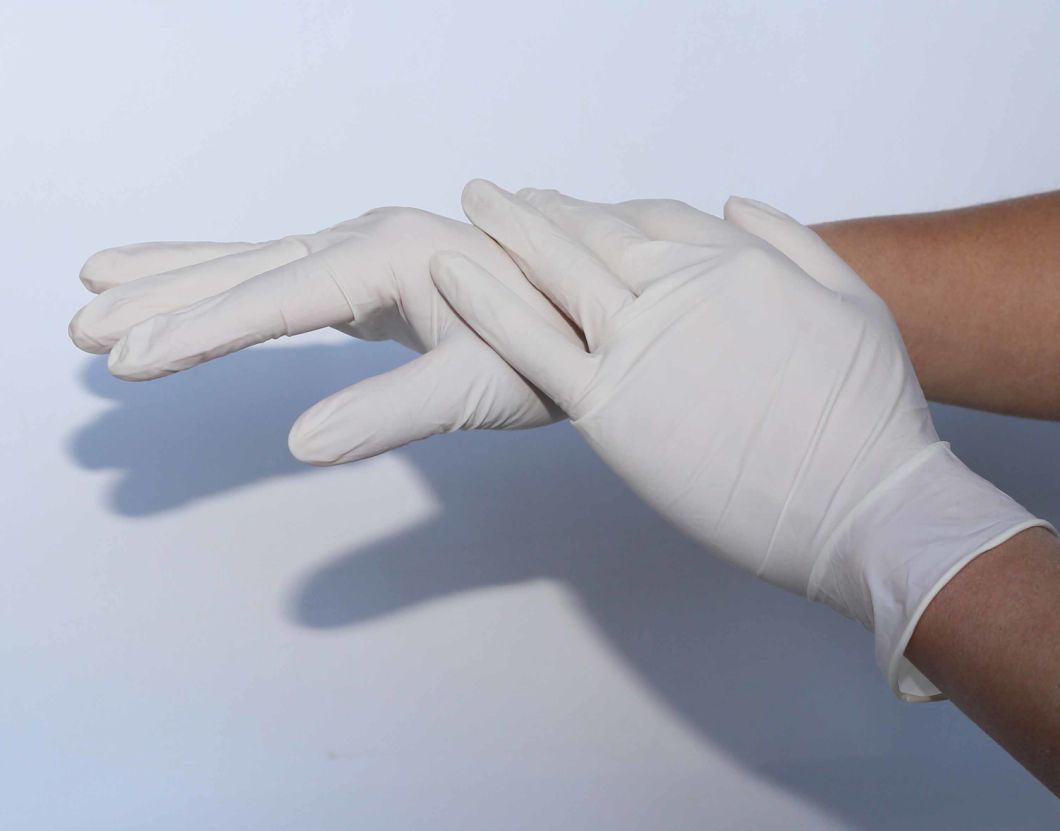 Cheap and Good Quality Latex Surgical Gloves/ Examination Gloves