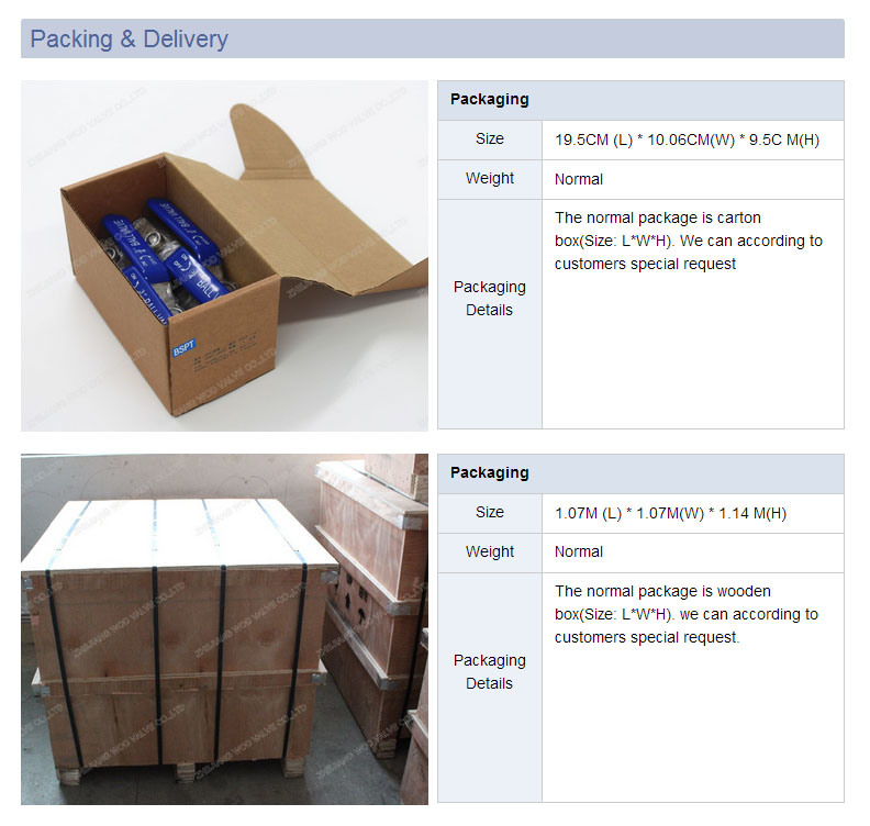 1000psi/Pn63 SS316 1PC-Spring Vertical Check Valve