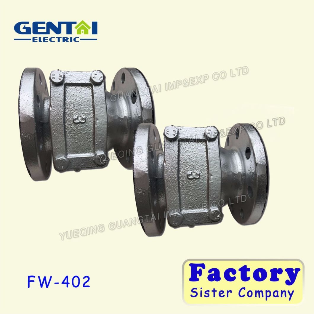 Swing Type Dise Cast Iron Check Valve 2