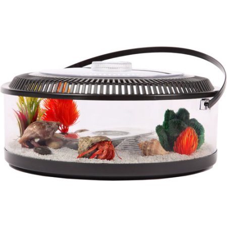 Clear Plastic Turtle Bowls Mold for Portable Use