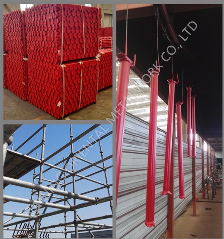 Galvanized Painted HDG Cuplock Scaffolding Ledgers