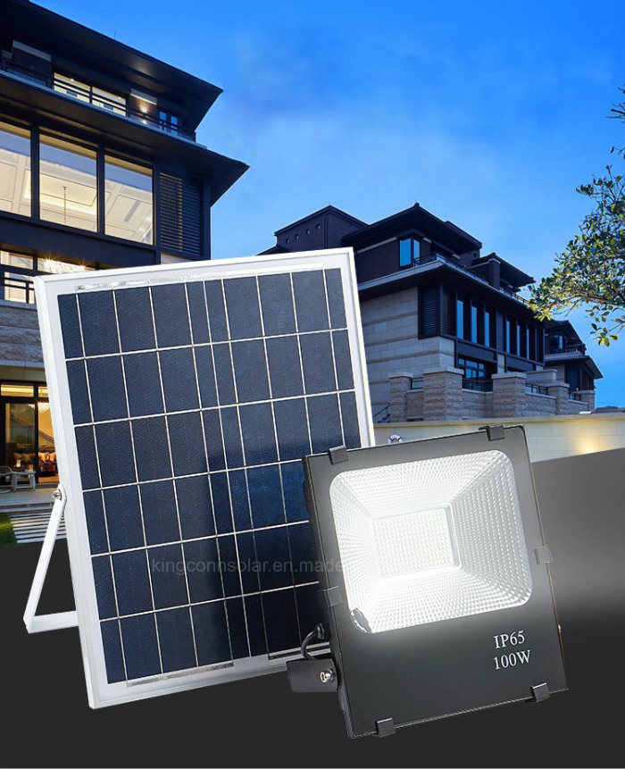 Recharegeable 50W/100W Outdoor Solar Panel Powered LED Flood Light for Street Lawn Lighting
