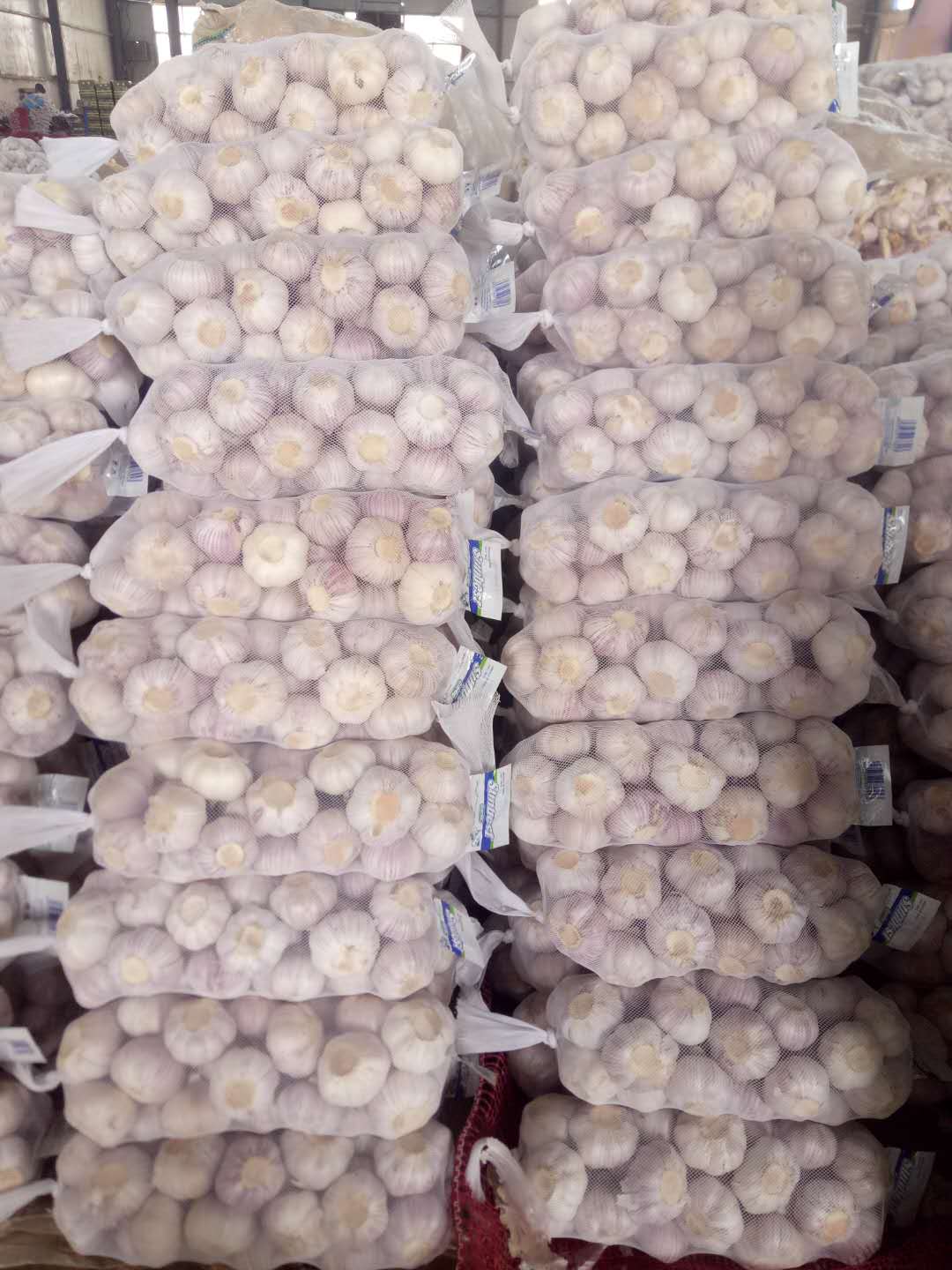 Chinese garlic Chinese garlic