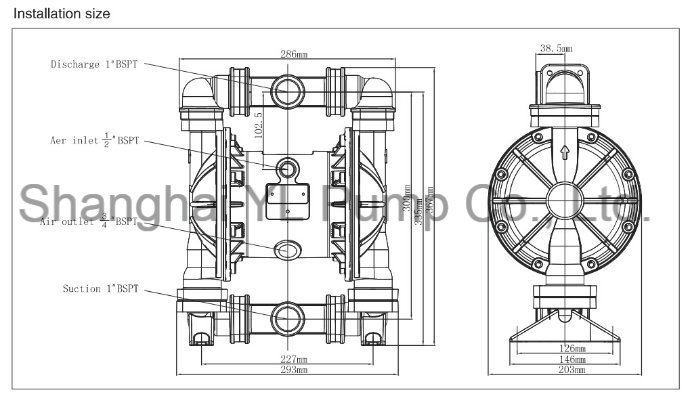 Wearing Resistance Diaphragm Metering Pump Made in PVDF