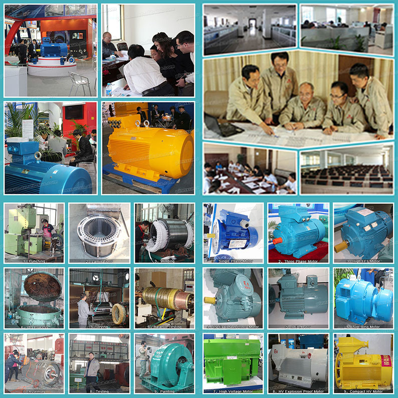 Y2 Cast Iron Asynchronous AC Electric Three Phase Induction Blower Axial Fan Water Pump Air Compressor Gear Box Motor