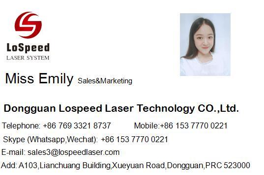 Lospeed Laser Marking Machine for Metal Printing Fiber Laser Type Permanent