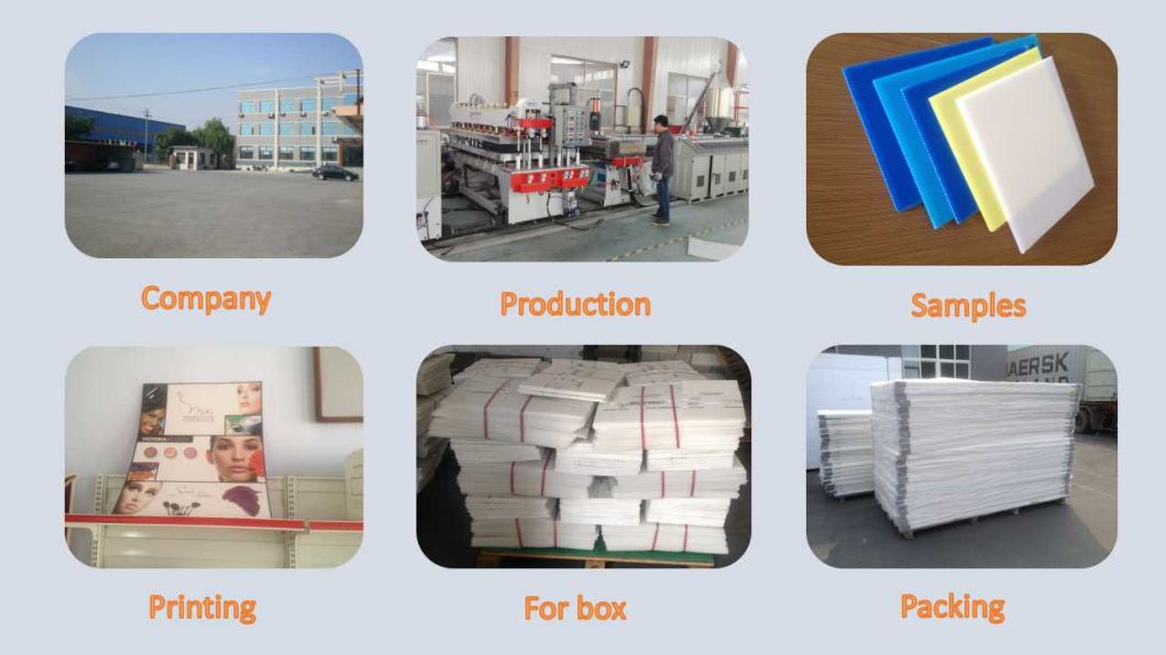 Corflute Polypropylene Corrugated PP Signs Printing PP Plastic Signs Board