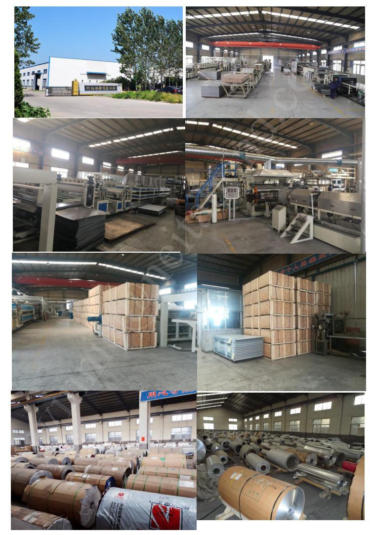 Polyester Aluminum Composite Panel (ACP) Form 16 Years Factory