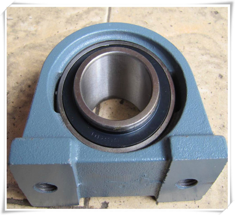 Auto Bearing Ucpa207-20 Pillow Block Bearing /Bearing Housing