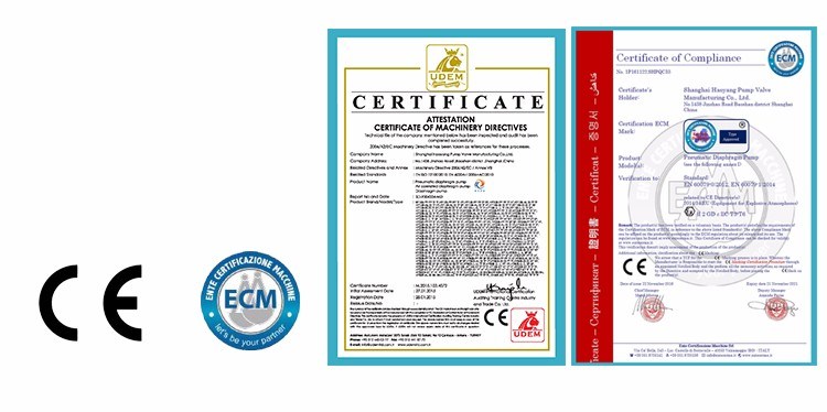 Air Operated Double Diaphragm Pump/Mini Air Membrane Pumps