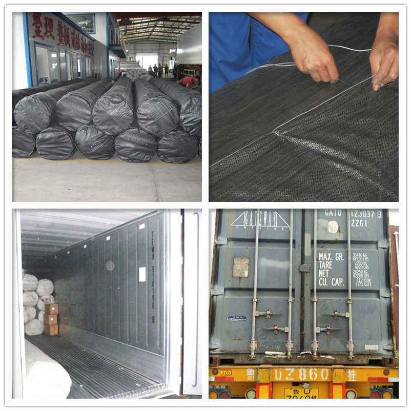 2.0mm/80mils Landfill Liners HDPE Geomembrane