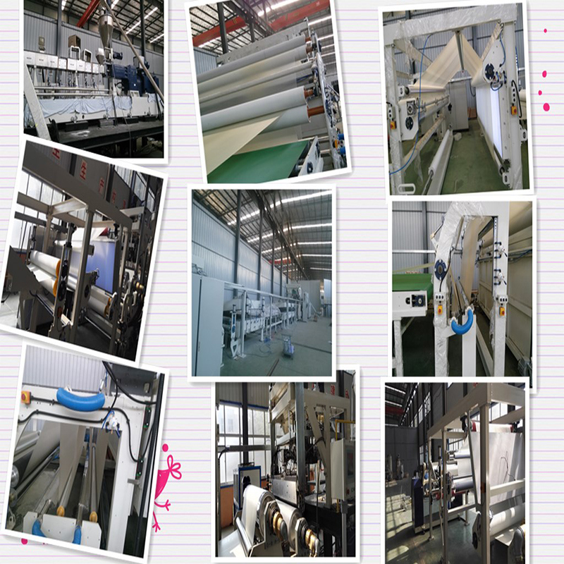 Twin Screw Extruder for Extruding PVB Intermediate Film and Sheet
