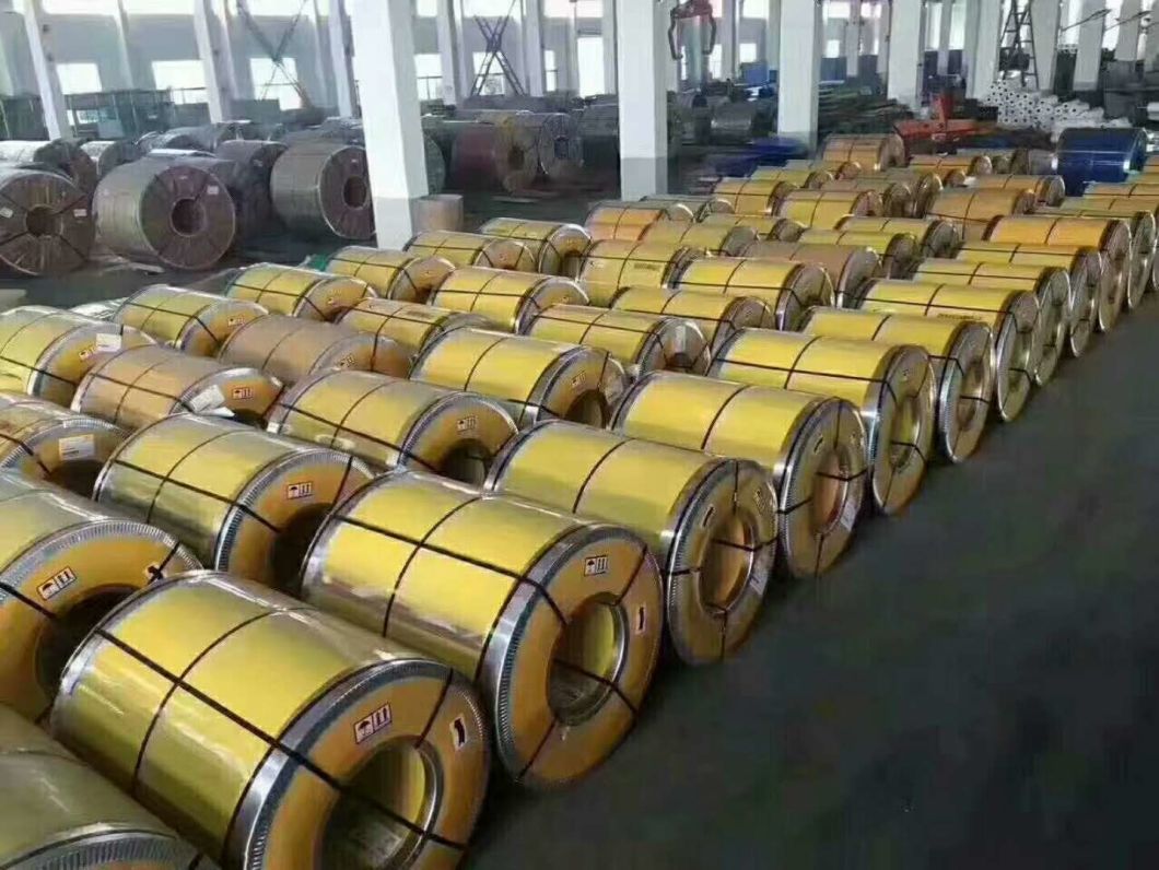 Customized Cold Rolled High Quality Pre Galvanized Steel Coil Strip