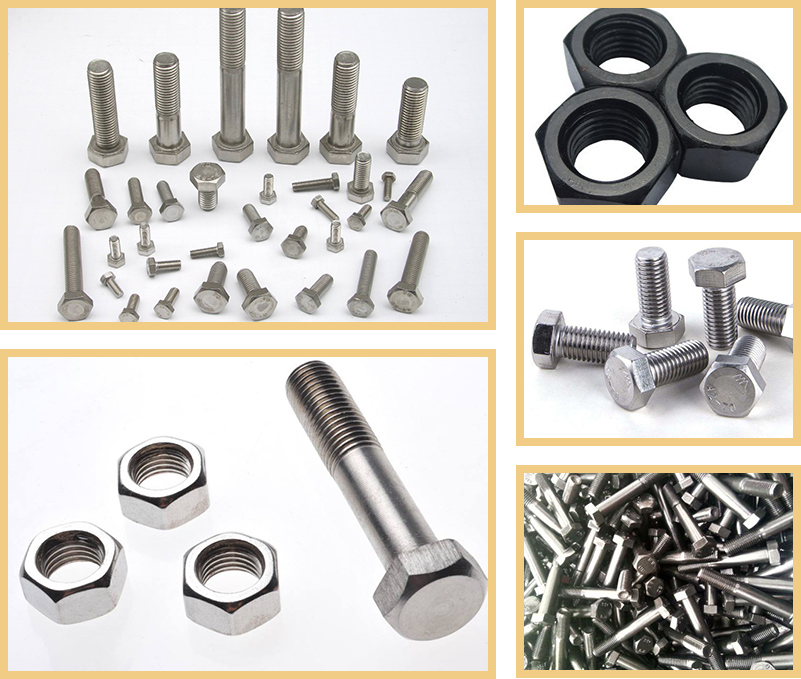 Stainless Steel Square Head T Head Bolt