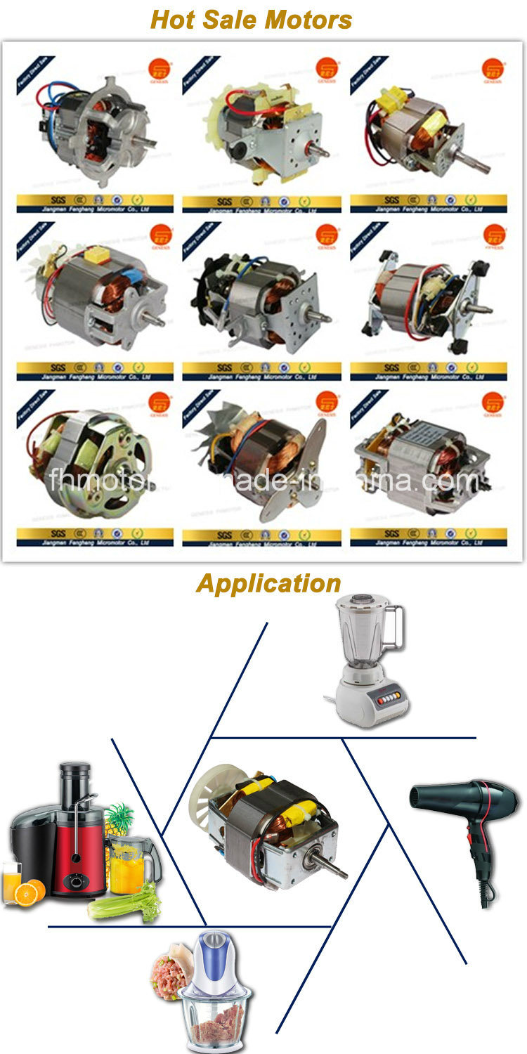 Genesis Factory Direct Sale AC Servo Motor