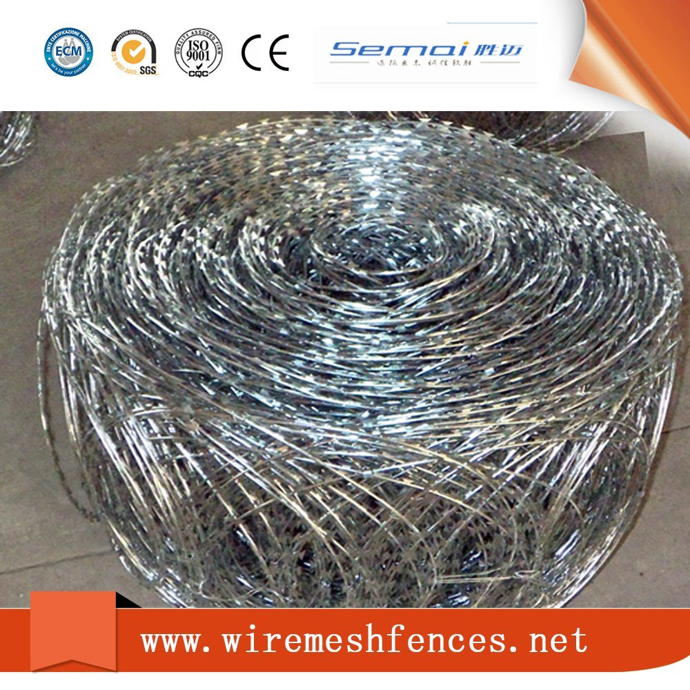 Galvanized Razor Wire Prison Fence