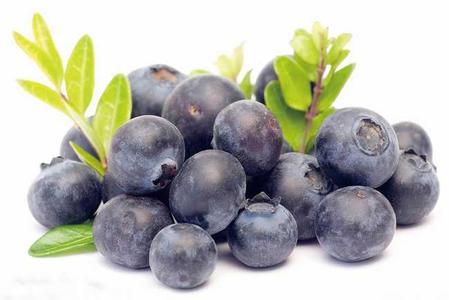 100% Pure Natural 25%Anthocyanins Bilberry Extract for Food and Beverage