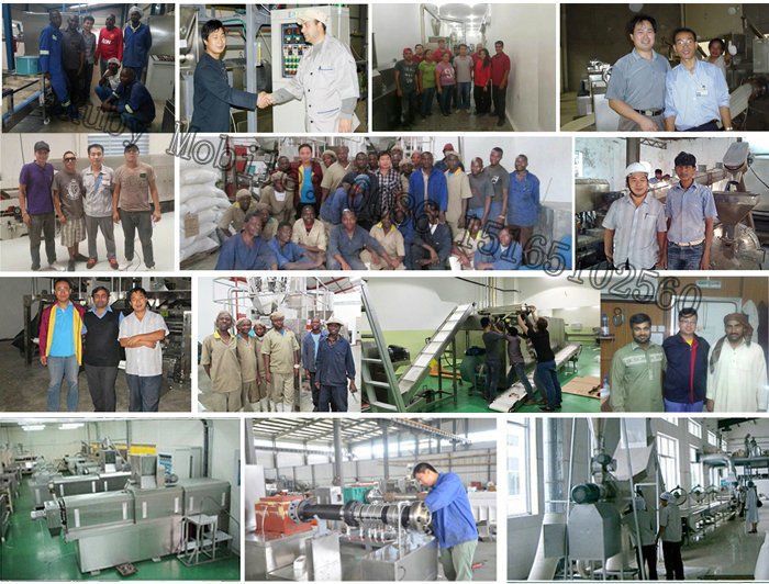 Twin Screw Extruded Cheese Ball Production Extruder