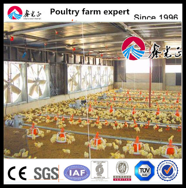 Cheap and Automatic Poultry Farm Feed Pan System