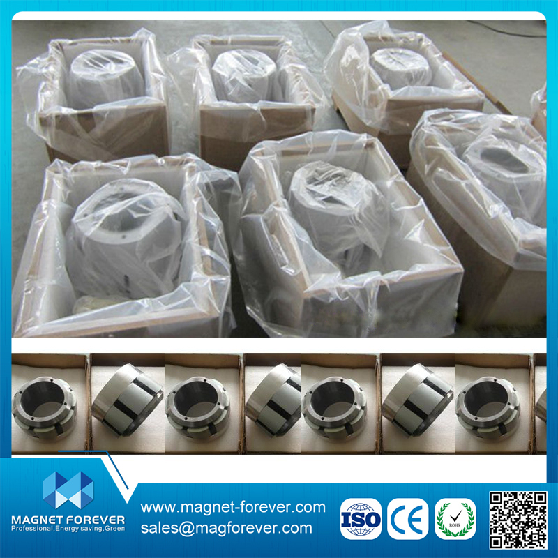 Permanent Motor NdFeB Neodymium The Magnetic Coupling Magnet