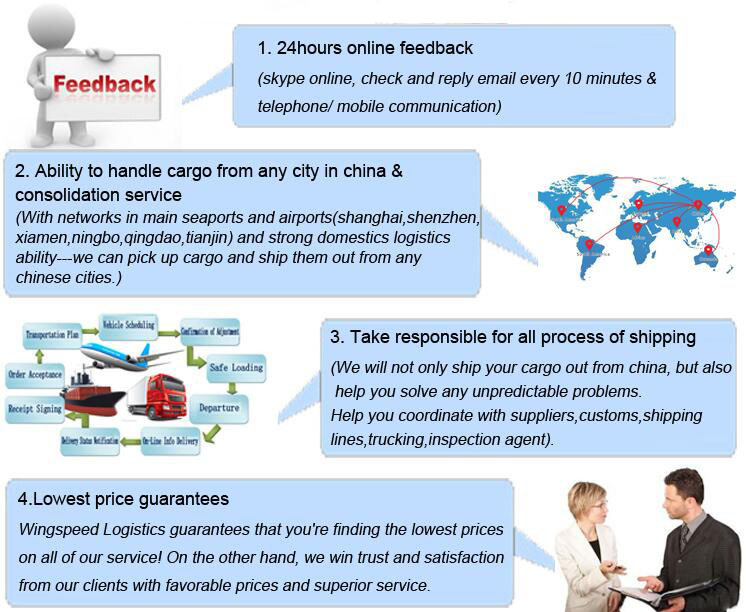 Freight Forwarding Cy-Cy Delivery Service LCL Ocean Sea Shipping Ningbo Qingdao Shanghai to USA Canada Singapore