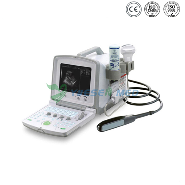 Ysb380V Portable Digital Diagnostic Veterinary Ultrasound